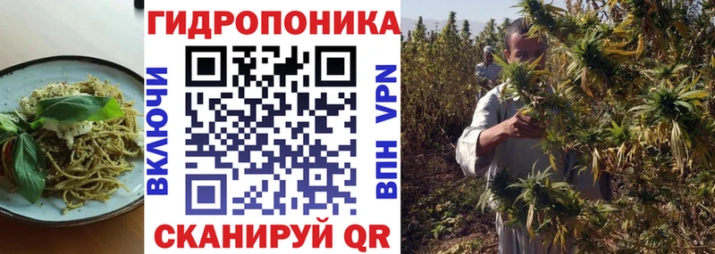 Canna-Cookies конопля Красный Холм
