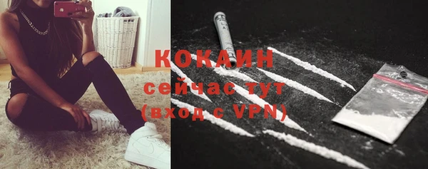 ПСИЛОЦИБИНОВЫЕ ГРИБЫ Навашино