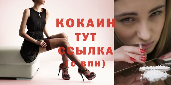 тгк Надым