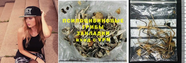 ПСИЛОЦИБИНОВЫЕ ГРИБЫ Навашино