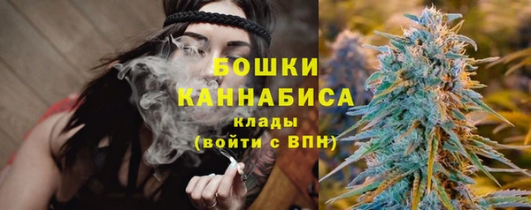 ПСИЛОЦИБИНОВЫЕ ГРИБЫ Навашино