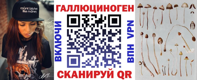 Псилоцибиновые грибы мицелий купить Красный Холм
