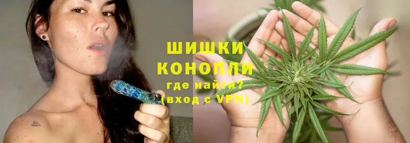 Канабис OG Kush  Красный Холм 